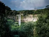 Waterfall in rainforest